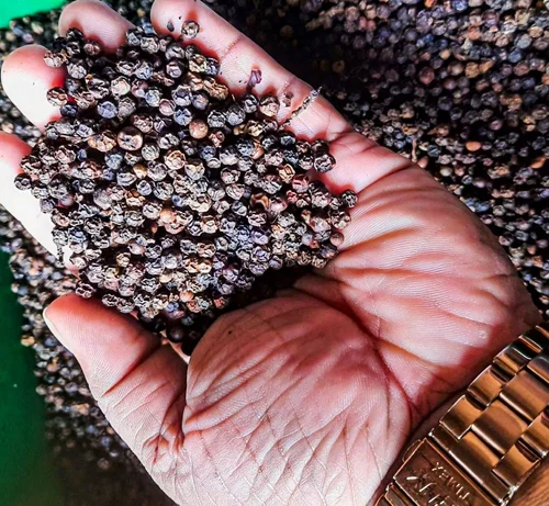 Black Pepper Grading